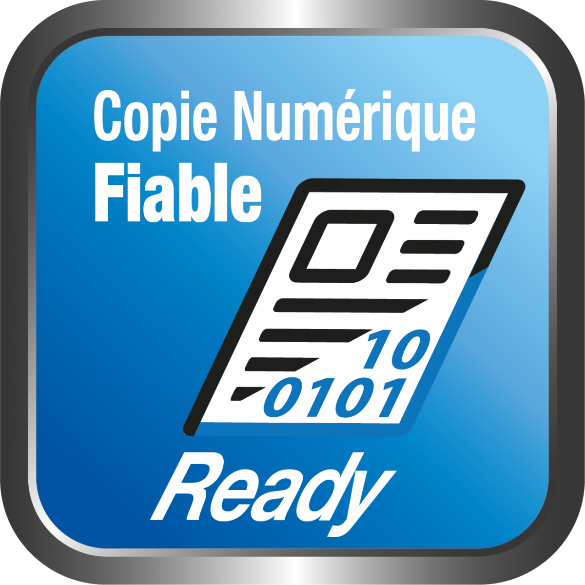 CopyFiable-Sticker4.png