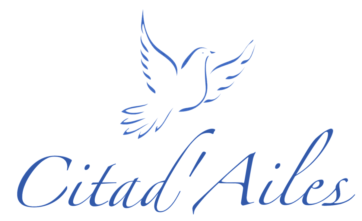 logo_citadailes_bleu.png