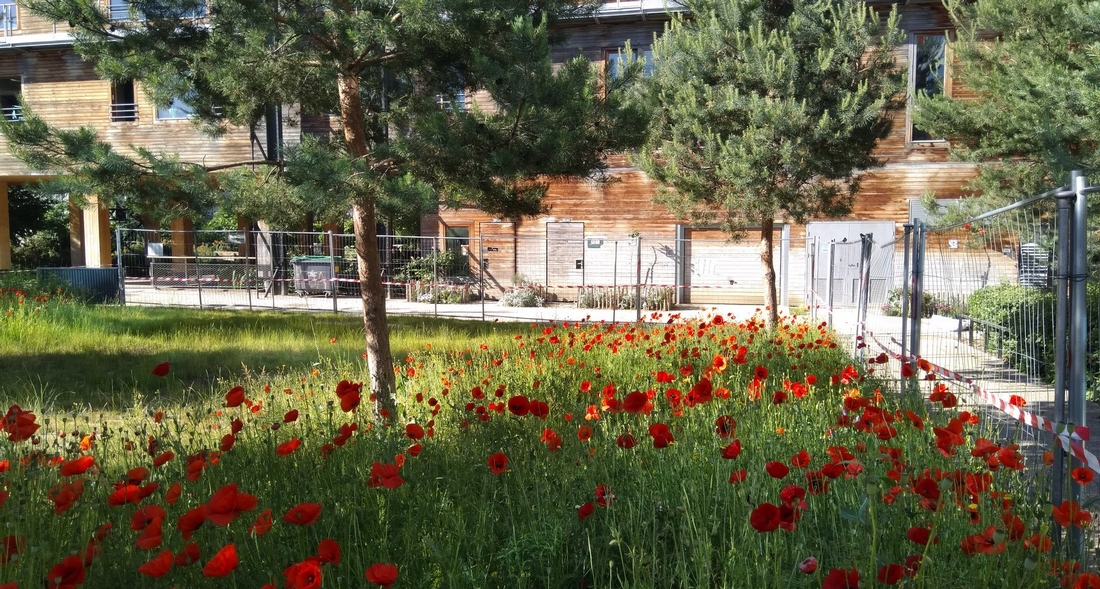 covid-19-bibliotheque-paris-vaclav-havel-deconfinement