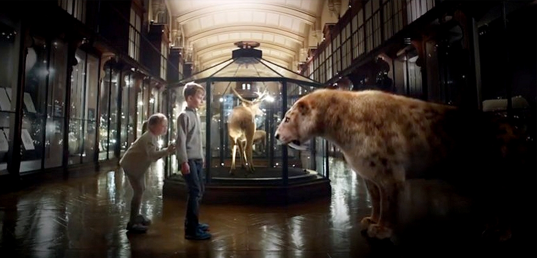 revivre-galerie-evolution-museum-histoire-naturelle-paris