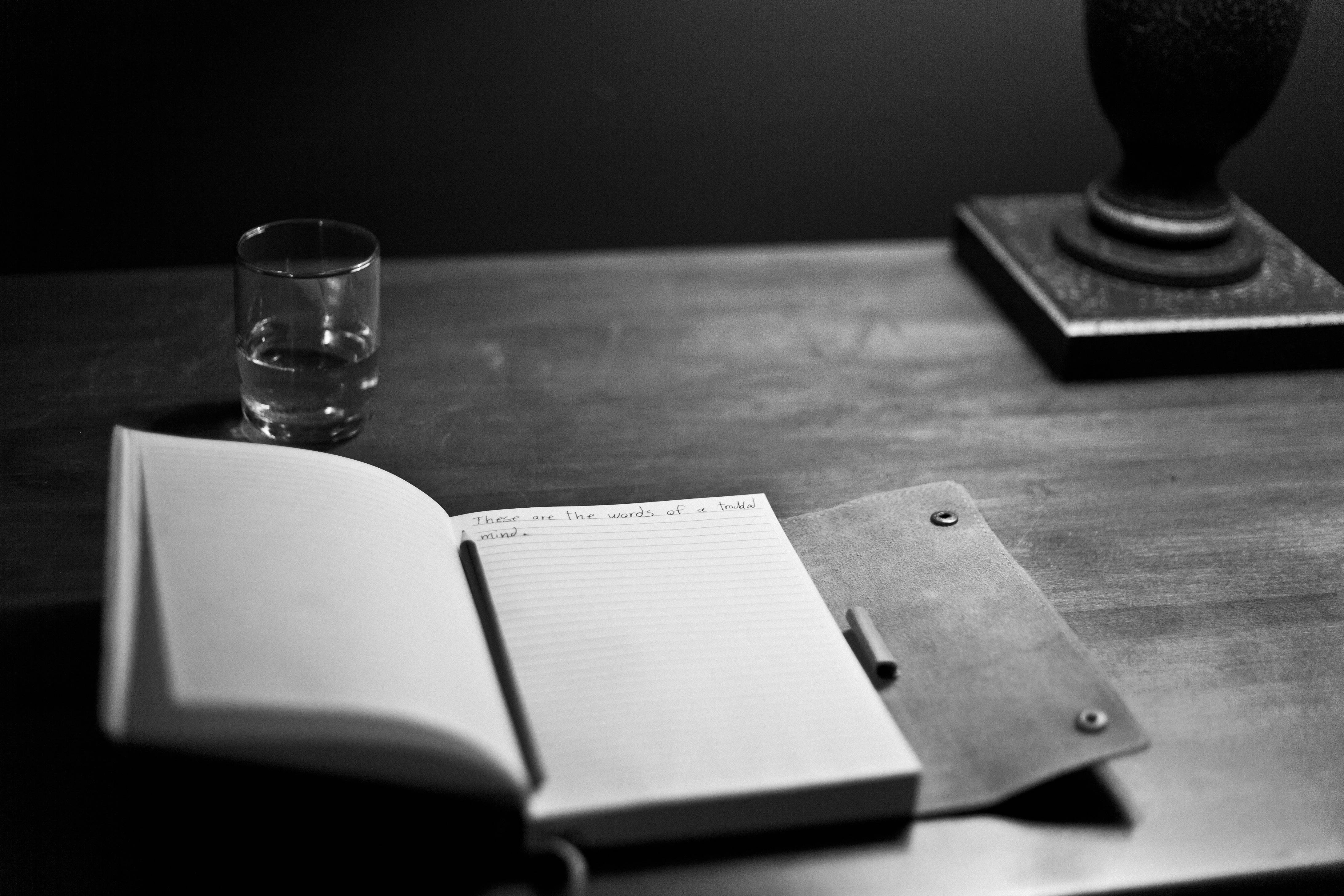 Depuis Google Doc, il suffit de cliquer sur l'onglet Draftback pour qu'une nouvelle page, contenant le film de votre texte, s'ouvre. (Pixabay/AlexVan)