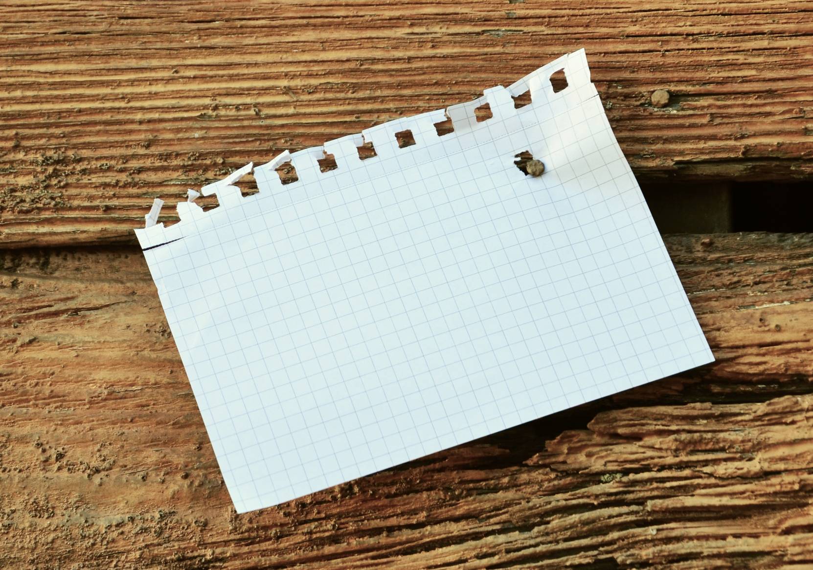 Rien de compliqué avec Nooot : il s'utilise dès la page d'accueil. (Pixabay/condesign)