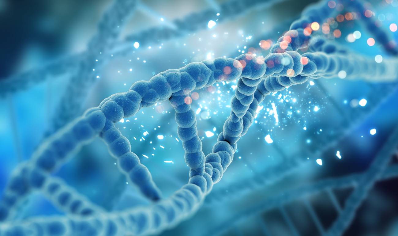"Nous sommes des exemples d’ordinateurs à base d’ADN, affirme Catalog ; non seulement nous stockons beaucoup de données dans l'ADN, mais nos cellules y ont accès et les calculent de manière extrêmement parallèle". (Freepik/kjpargeter) stockage-ADN