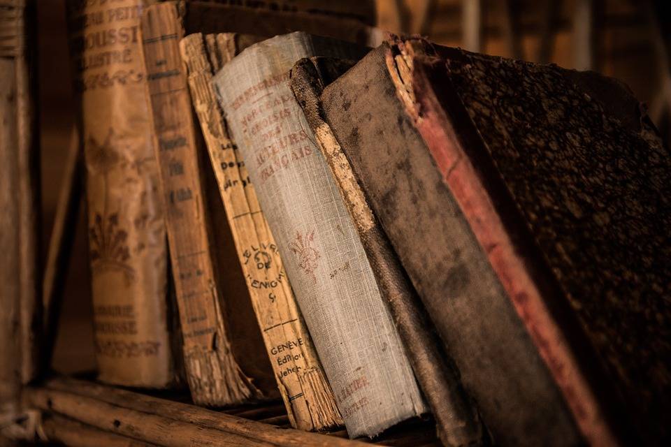 Des livres empoisonnés à l’arsenic ont été retrouvés à Odense au Danemark. crédits : pixabay.com Danemark-livres
