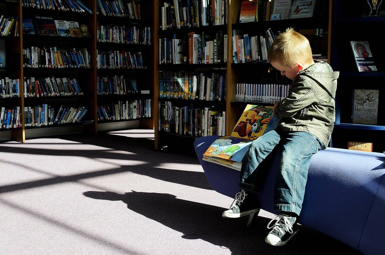 Les bibliothèques à l'heure du déconfinement (Pixabay / PublicDomainPicture)