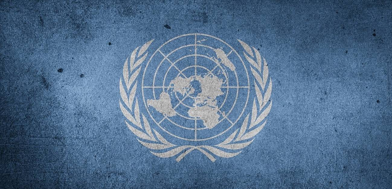 La Bibliothèque numérique de l'ONU donne accès à de nombreux documents numériques qui constituent la mémoire institutionnelle de l’ONU et en garantira la conservation. (Pixabay/Etereuti) onu-nations-unies