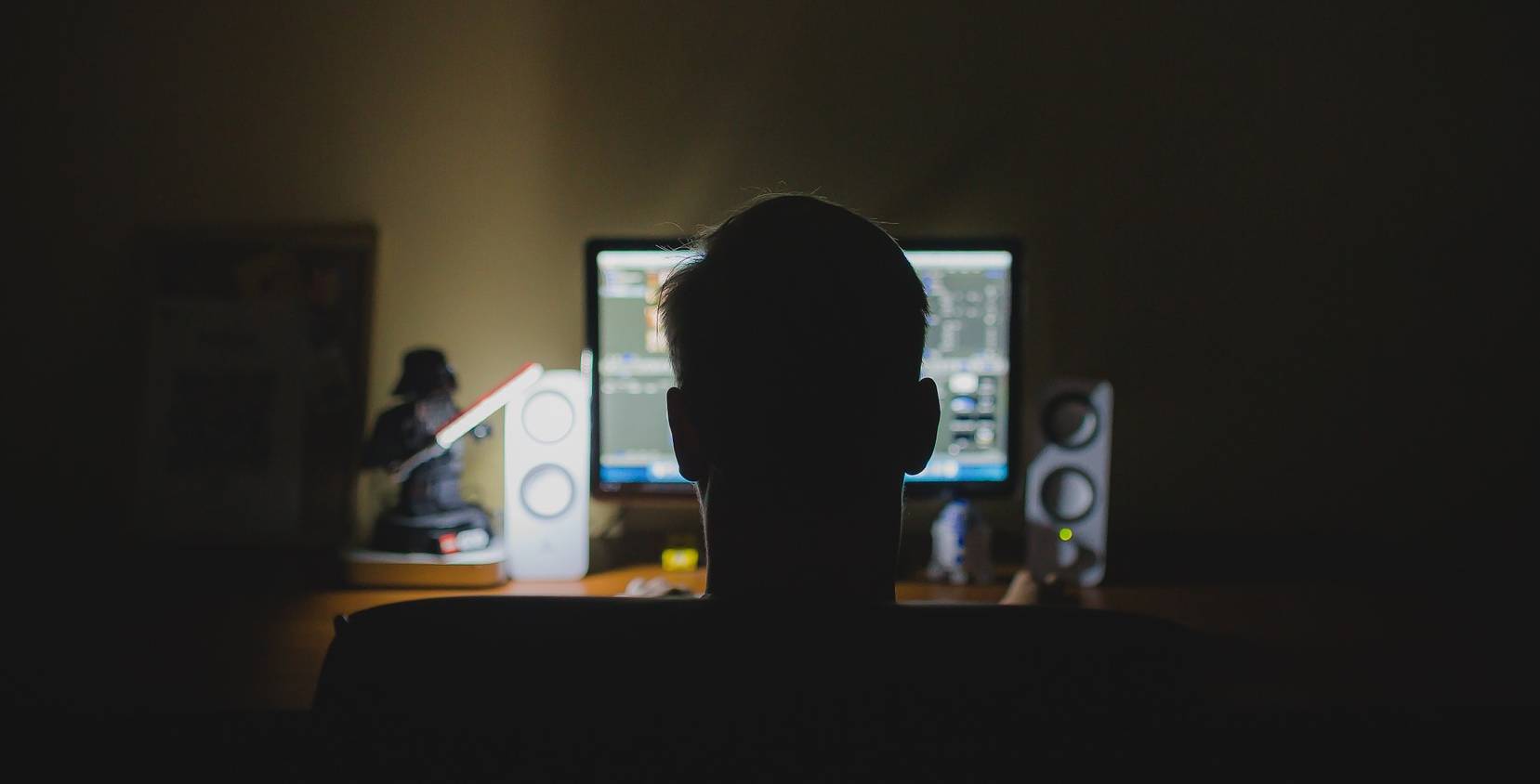 Au sein des organisations, 90 % des personnes connectées sont dans la simple consultation, tandis que 9 % commentent les publications partagées par 1 % seulement des utilisateurs. (Pixabay/Tookapic)