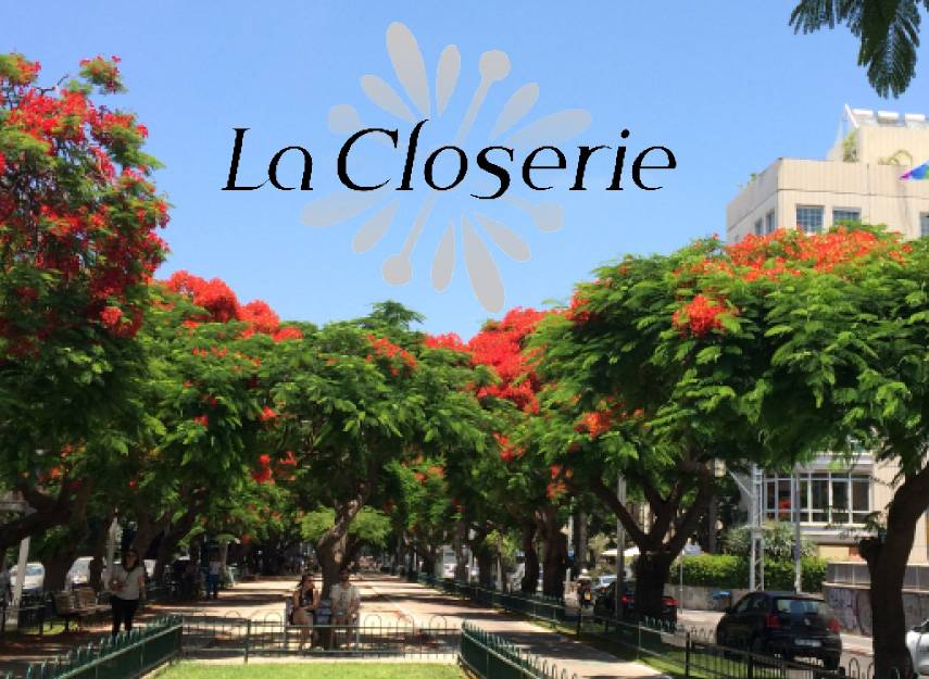La médiathèque de l'Institut français d'Israël ouvre ses portes au coeur de Tel Aviv (Institut français)