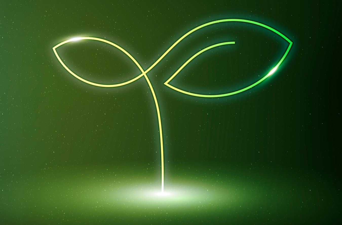 ecolabels-numerique-responsable