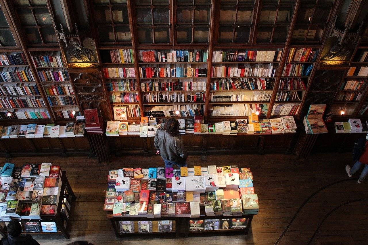 Une baisse de 58,5 % des ventes de livres en France (Pixabay / InstagramFOTOGRAFIN)