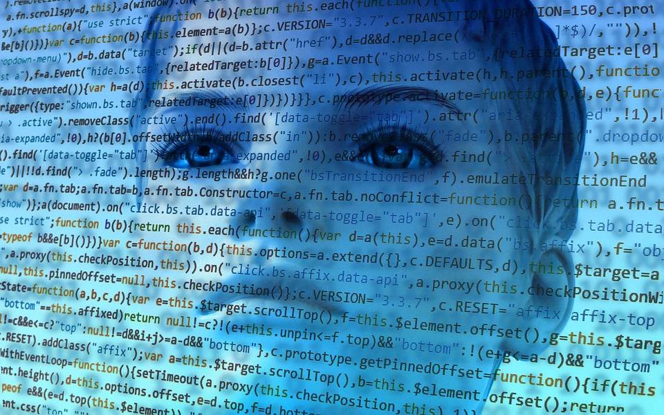 Le gouvernement expérimentera six projets pendant une période de dix mois (Pixabay / Geralt)