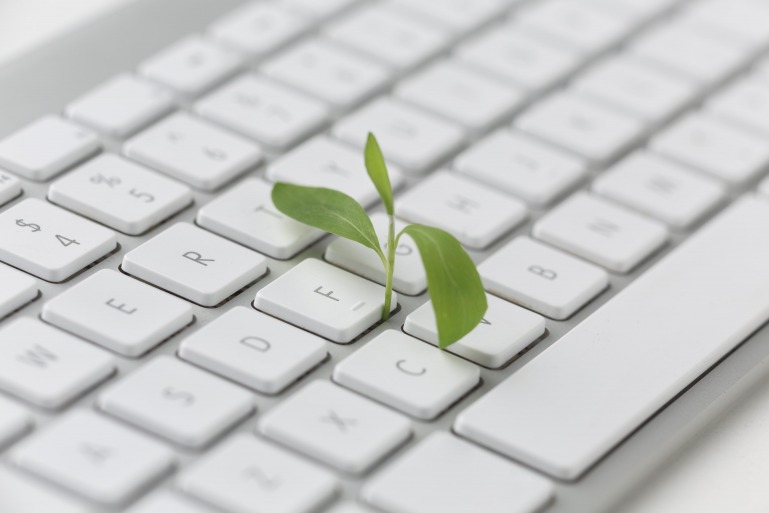 clavier-ordinateur-blanc-petite-plante