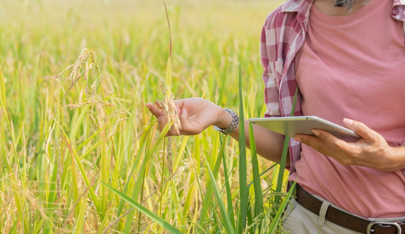 Kodak Alaris obtient l'écolabel EPEAT Or pour ses scanners à faible consommation d'énergie. (freepik@jcomp) Kodak-Alaris-obtient-ecolabel-EPEAT-Or