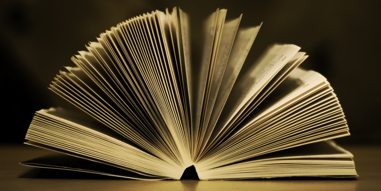 Le livre, dont le titre n'a pas été communiqué, aurait été emprunté en 1967. (VisualHunt.com)