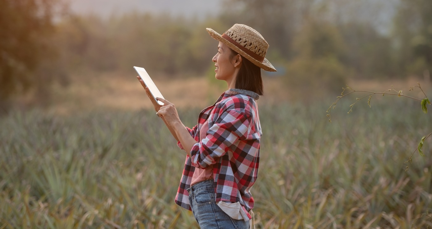 Ecosia, Lilo et Ecogine se présentent comme des moteurs de recherche écologiques, qui respectent l'environnement ou soutiennent des projets écoresponsables. Lequel choisir ? (Freepik/@jcomp) moteur-recherche-ecoresponsable-ecologie-environnement