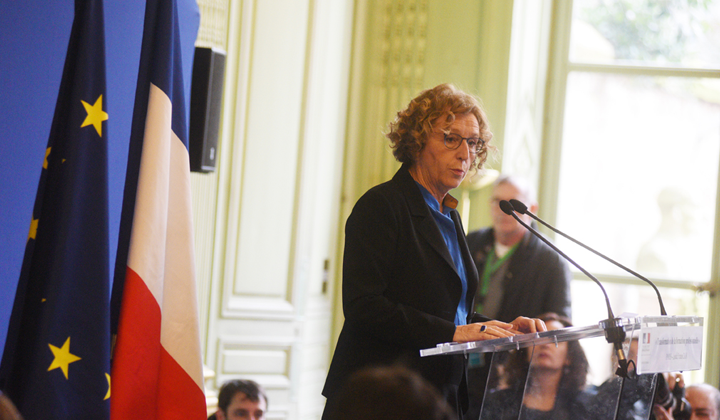 Muriel Pénicaud lors de la présentation de son projet de réforme de la formation professionnelle (Ministère du Travail)