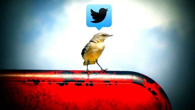 oiseau-twitter
