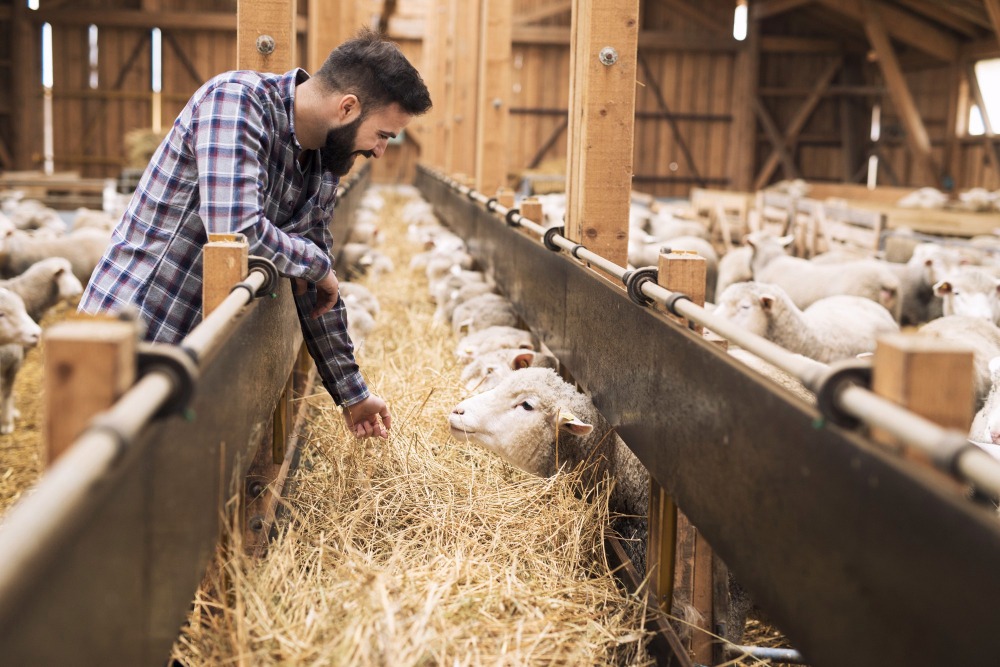 Dans le milieu rural, beaucoup d'artisans ne sont pas entrés dans la révolution de la dématérialisation (Freepik Premium / aleksandarlittlewolf) monde-rural-face-complication-facture-electronique