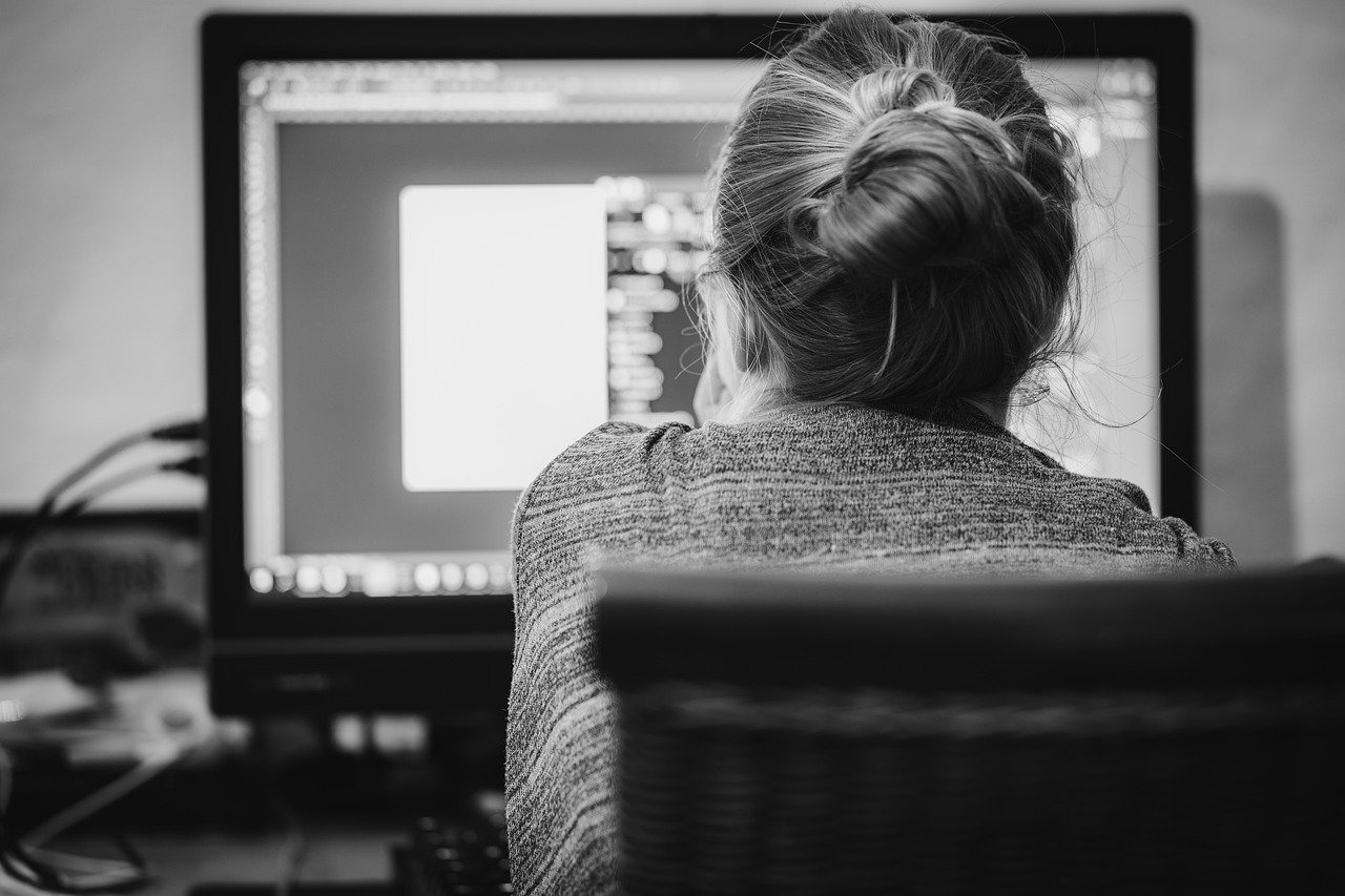 82,9 % des Français lisent au moins une marque de presse en version numérique (Pixabay / Leni_und_Tom)