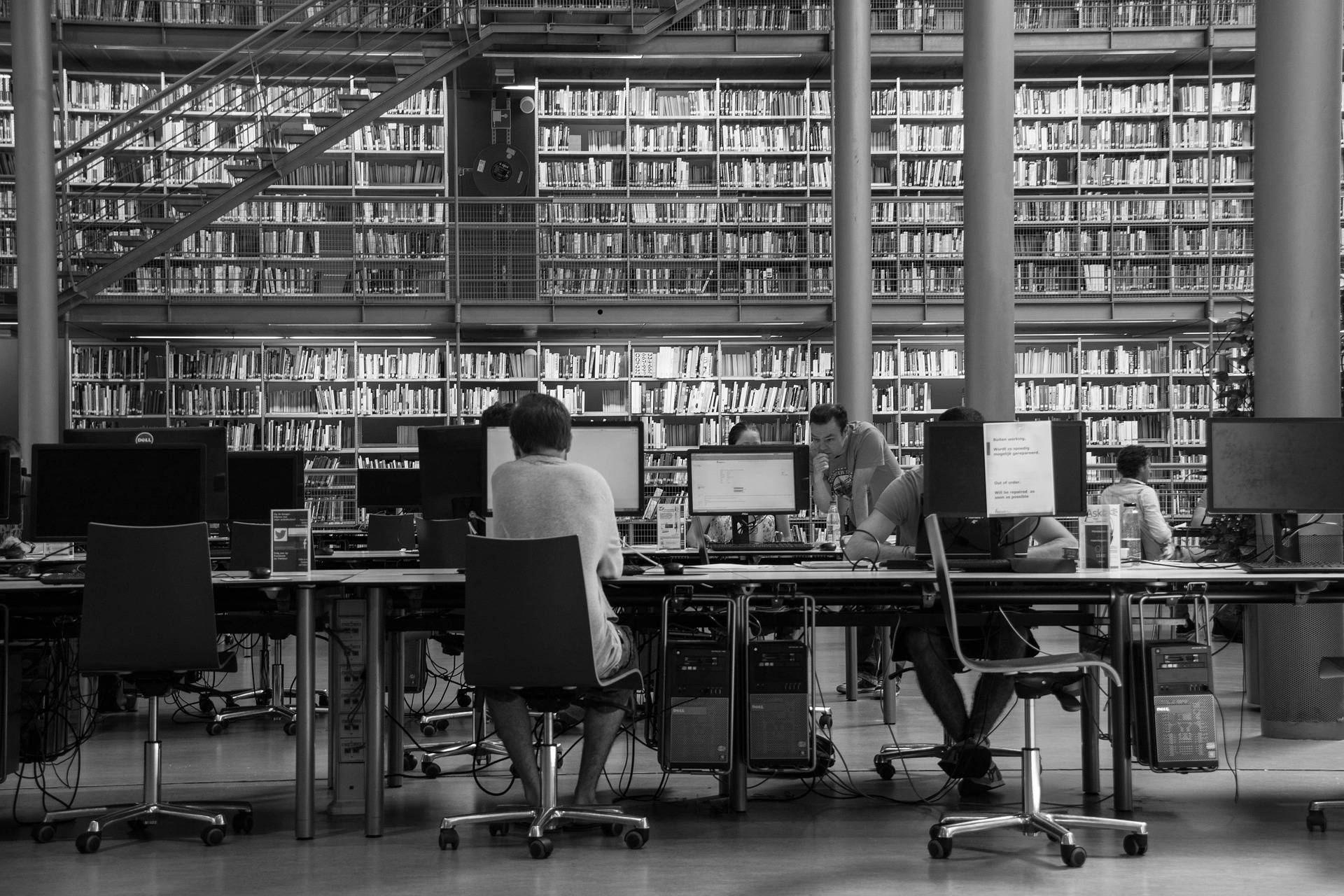 recherche-bibliotheque