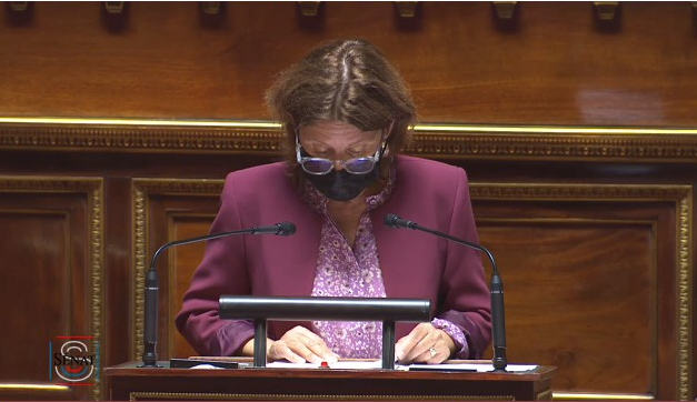 Sylvie Robert au Sénat le 9 juin 2021 (Sénat) Le Sénat adopte à l'unanimité la proposition de loi sur les bibliothèques