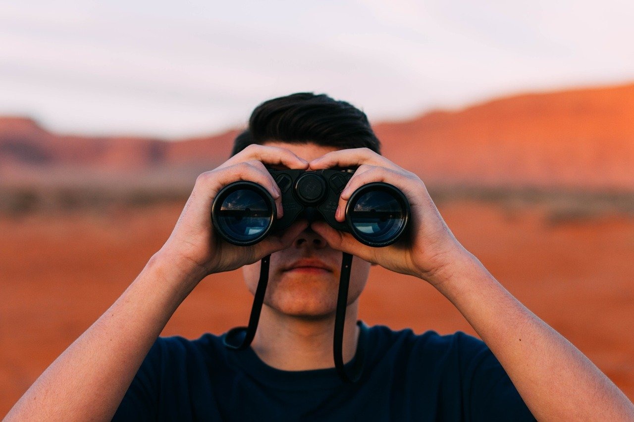 Comment les veilleurs jugent-ils les fonctionnalités des plateformes de veille ? (Pixabay / Free-Photos) Veilleuses, veilleurs : ce questionnaire en ligne est fait pour vous !
