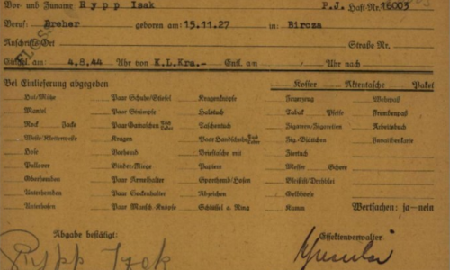 Persecutions-nazies-IA-accelere-exploitation-fonds-archives-Arolsen