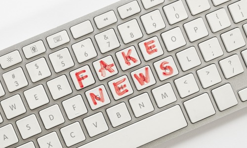 "Quel que soit le type de bibliothèque, les professionnels ont les compétences au niveau de la sélection de l’information", affirme Élisabeth Noël, conservatrice en chef des bibliothèques et responsable des diplômes à l’Enssib (Freepik).