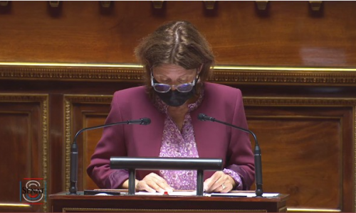 Sylvie Robert au Sénat le 9 juin 2021 (Sénat) Le Sénat adopte à l'unanimité la proposition de loi sur les bibliothèques