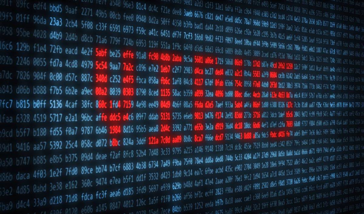 virus-plan-reprise-activite-pra